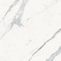 glossy veined statuary white