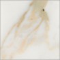 Gold Calacatta marble - +€11.54