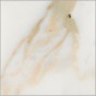 gold Calcatta Marmor - +2.141,30 €