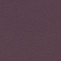 Sibilla 19 Violet