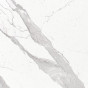 Bianco Statuario Venato