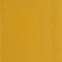 EE Giallo