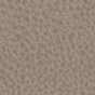 Lory 02 Beige