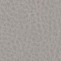 Lory 12 Silver