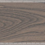 Zinc Elm