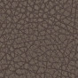 gris foncé