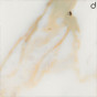 Gold Calacatta marble - +€831.87