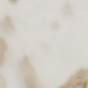Calacatta Silk Macchia Vecchia