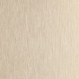 metallic lacquer ML03 champagne
