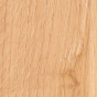 841 rovere corteccia