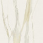 ceramica Calacatta Gold Lucido