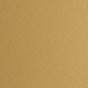 26 Gold