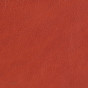 P/3614 Corail