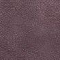 P/3608 Prune