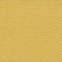 Samuel 008 Giallo