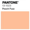 Locandina con il nuovo colore Pantone dell'anno 2024, il rosa pesca Peach Fuzz 13-1023
