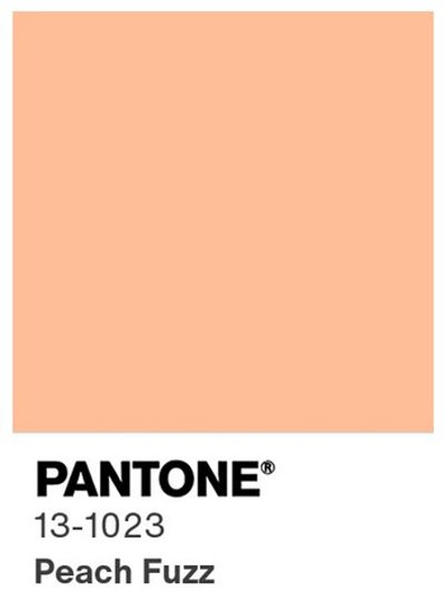 Switch ufficiale del Pantone Color Institute